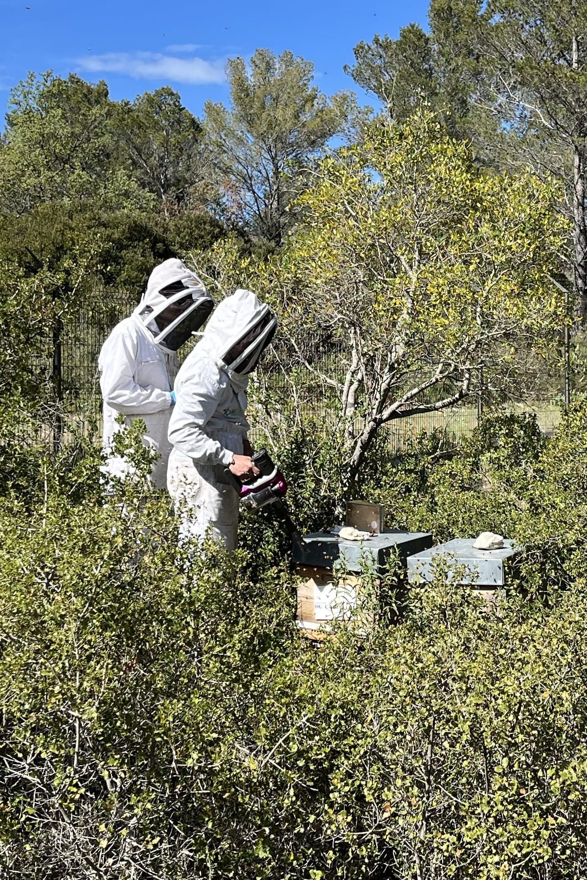 Apiculteurs et ruches de l'Aéroport International du Castellet